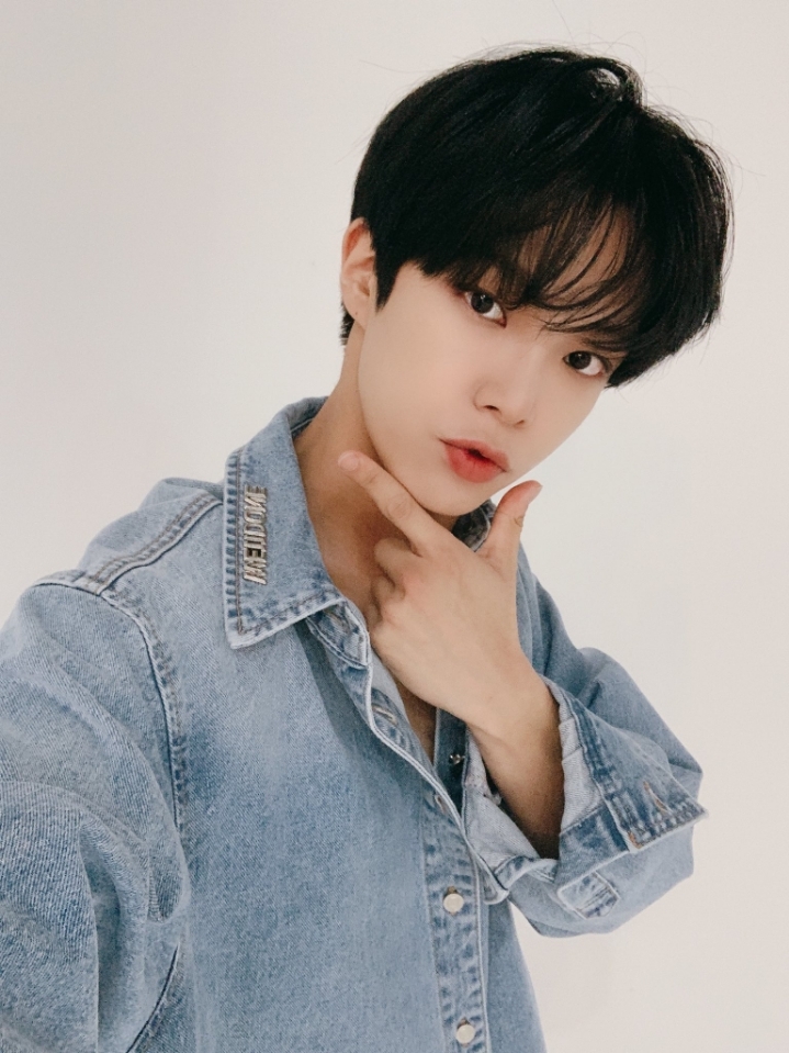꿀단지 이미지
