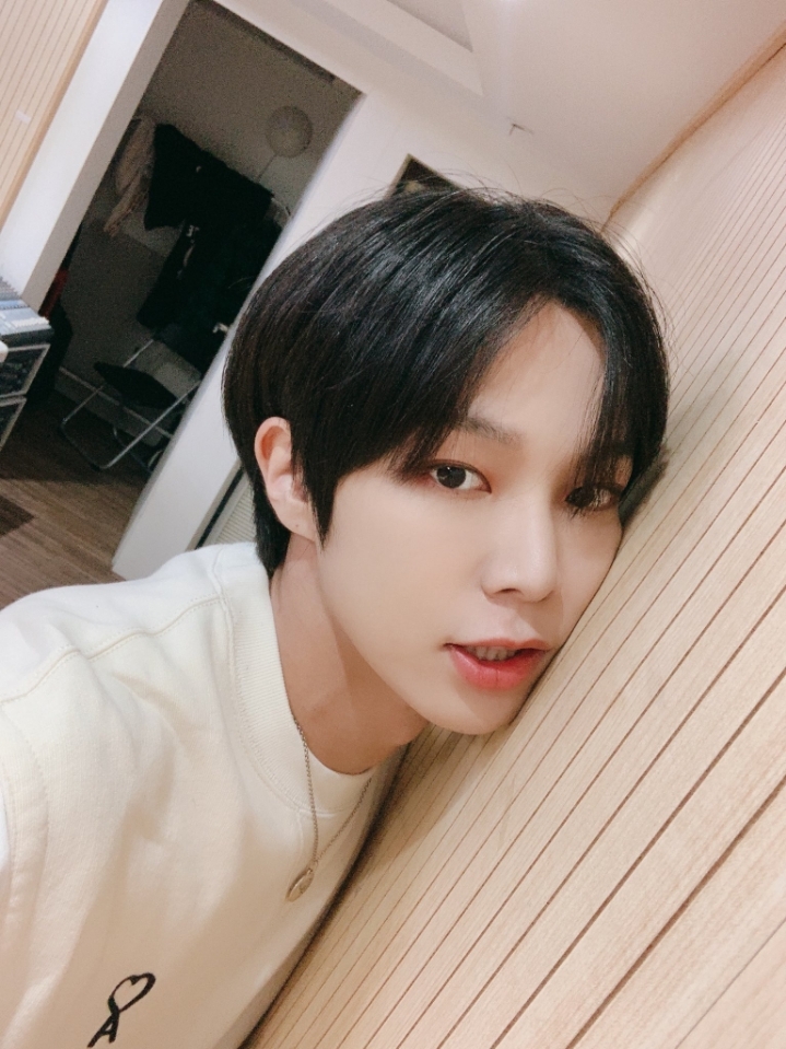 꿀단지 이미지
