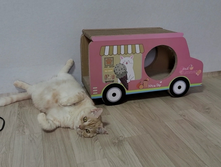 통이네집 이미지