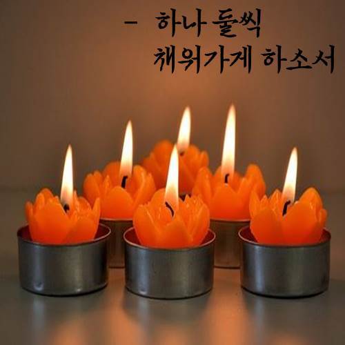 우리가게 이미지