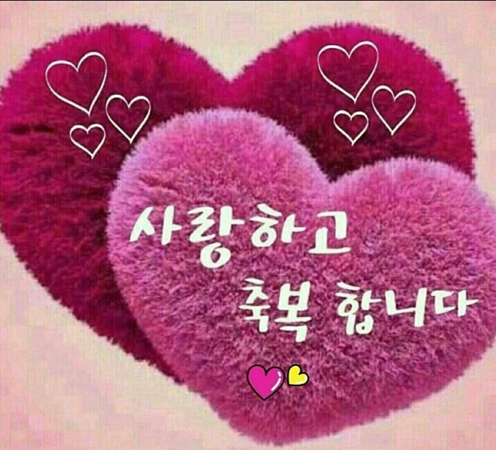 그대가꽃 이미지