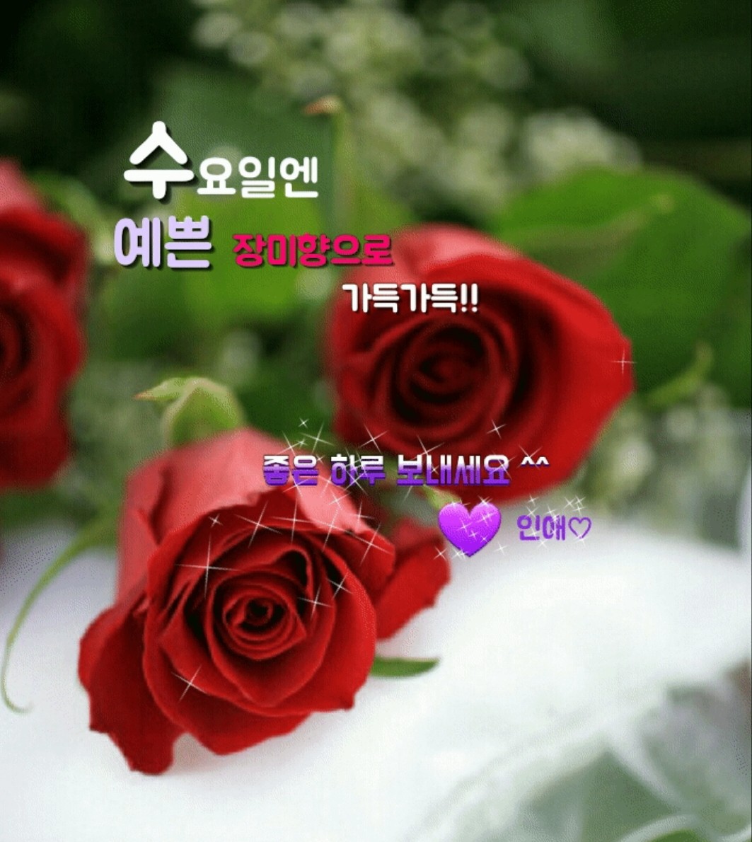 향기 이미지