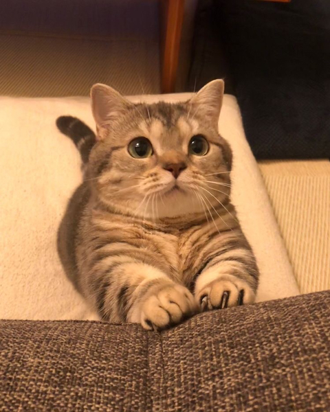 놀아줘 이미지