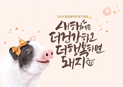 행복하면돼지 이미지