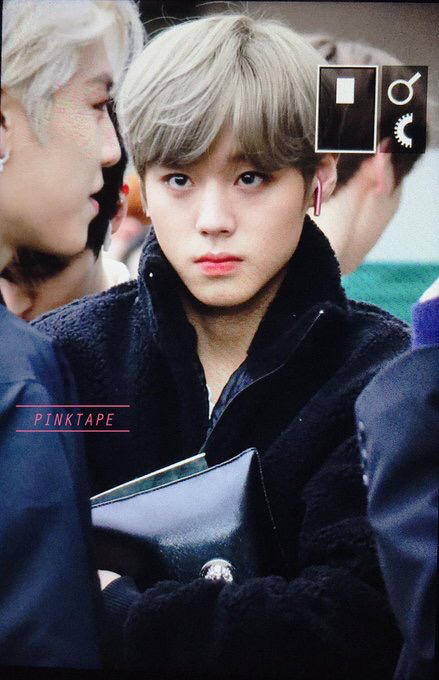 투투 이미지