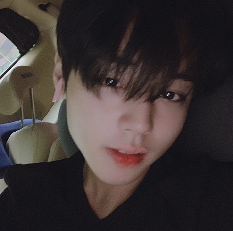 우와우 이미지