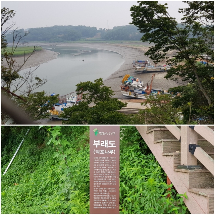 광성만물 이미지