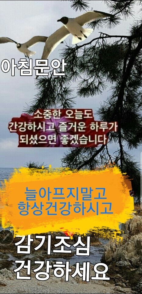 아침엔 이미지