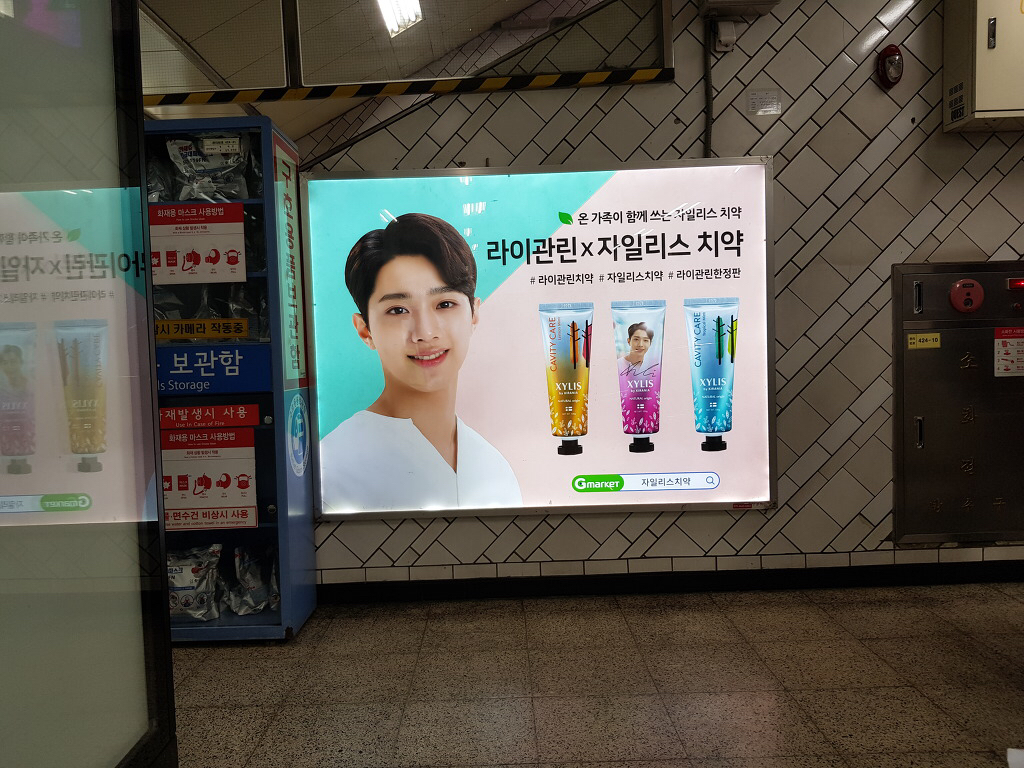 자일 이미지