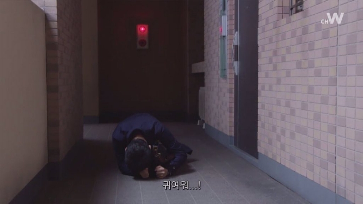욤 이미지