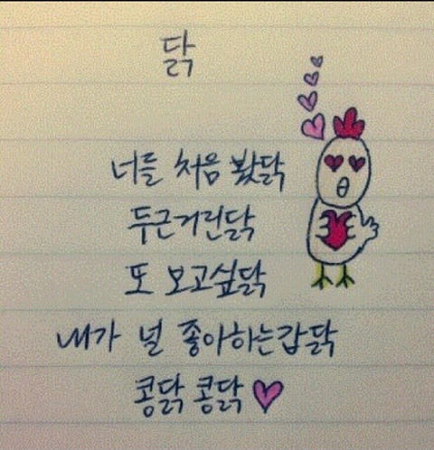 콩닭콩닭 이미지