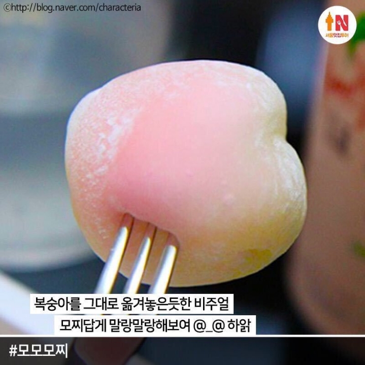 모찌 이미지