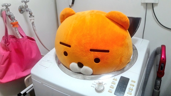 진심 이미지