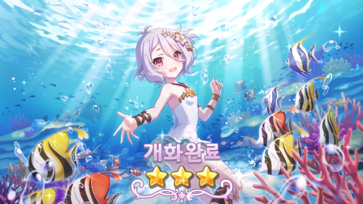 수코 이미지