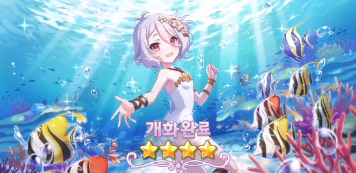 수코 이미지