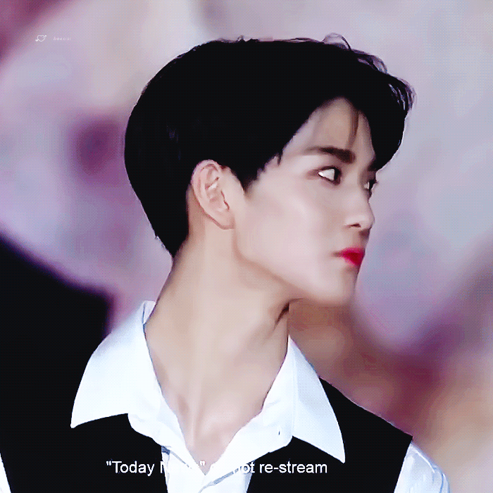브이녹스 이미지