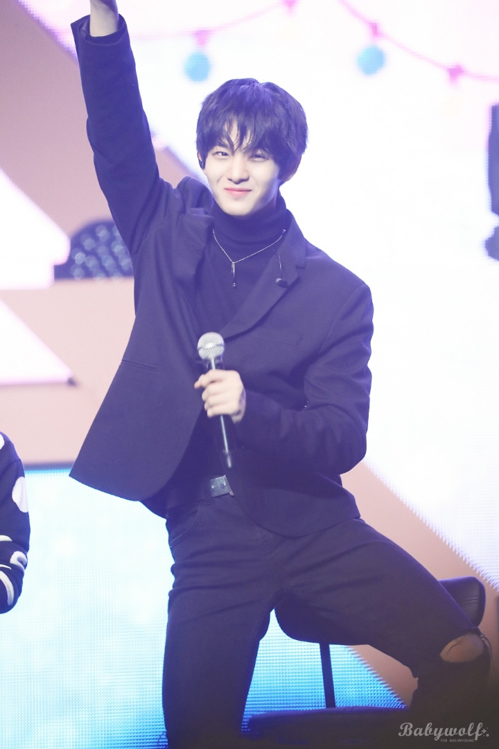 리라 이미지