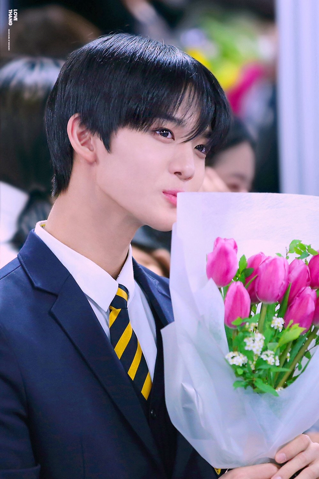 리라 이미지