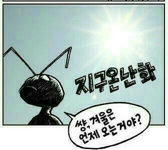개미와배짱이 이미지