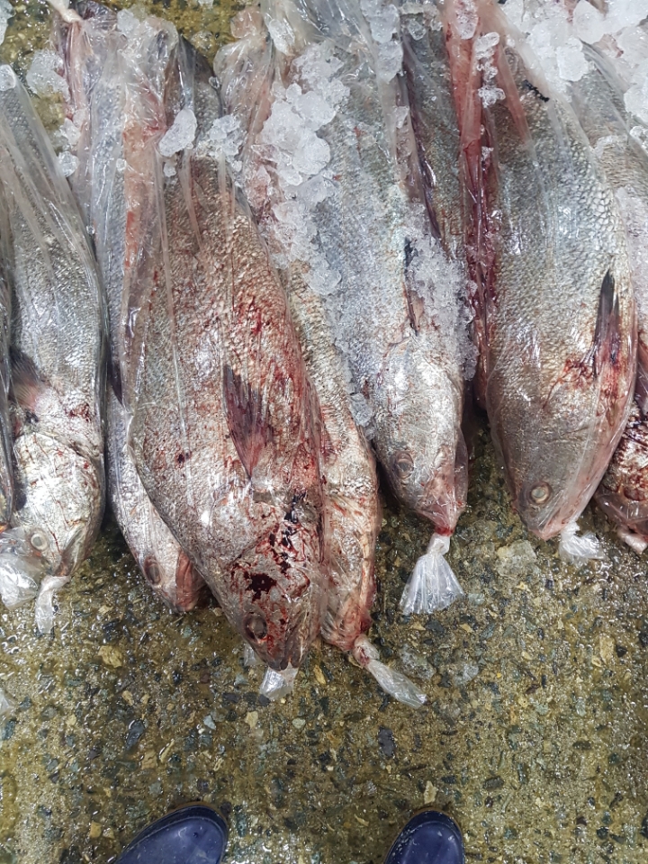 거시기수산 이미지