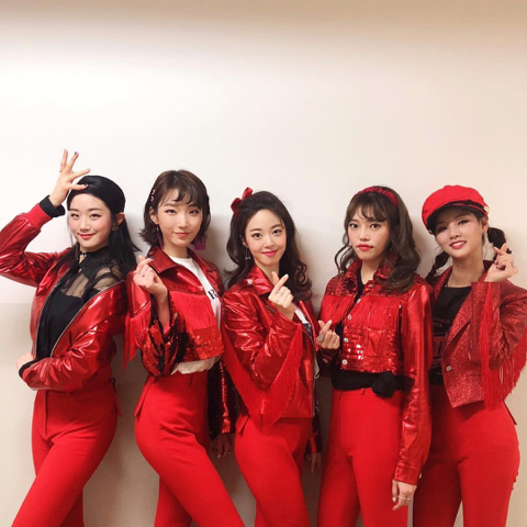핑크레이디 이미지