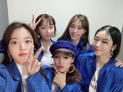 핑크레이디 이미지
