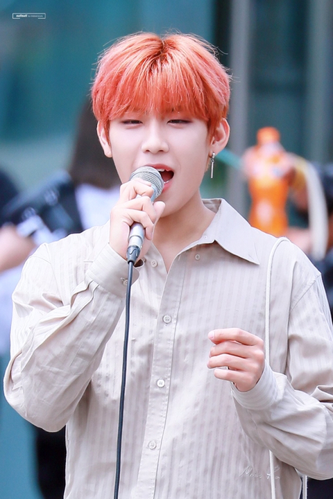 참우진 이미지