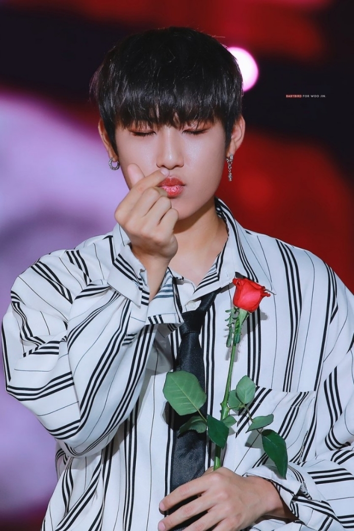 참우진 이미지