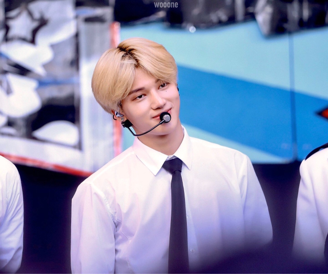 가이우 이미지