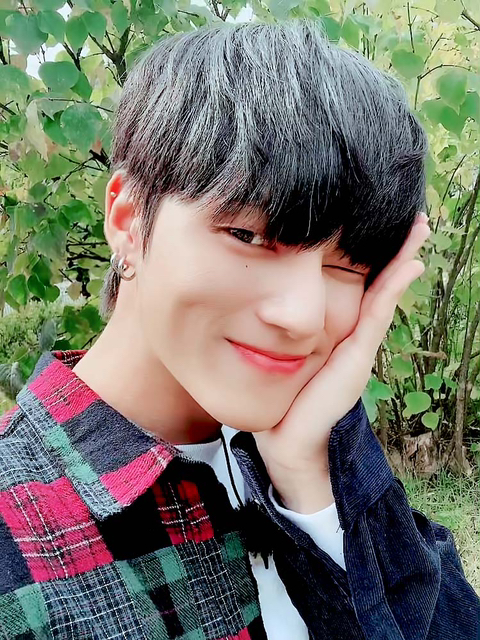 영이영이 이미지