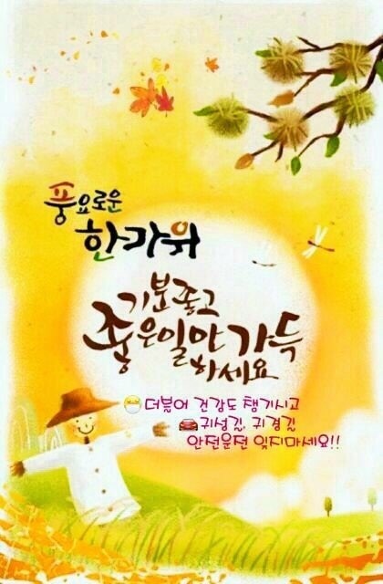 올클리어 이미지