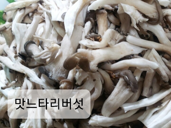 쉐프총각 이미지