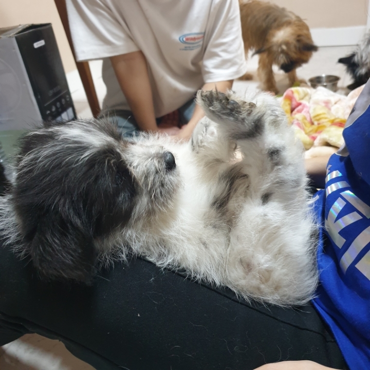 민강E&G 이미지