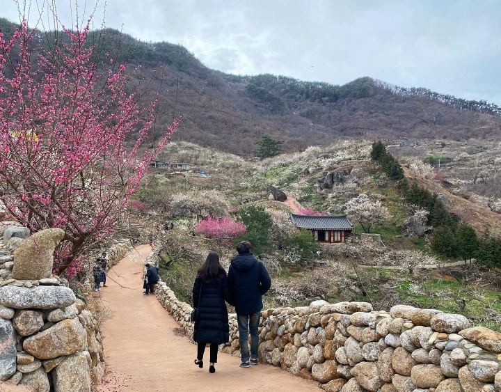 축복 이미지
