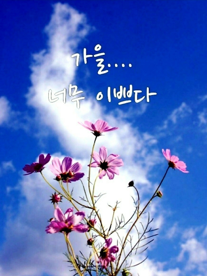 예쁜하루 이미지