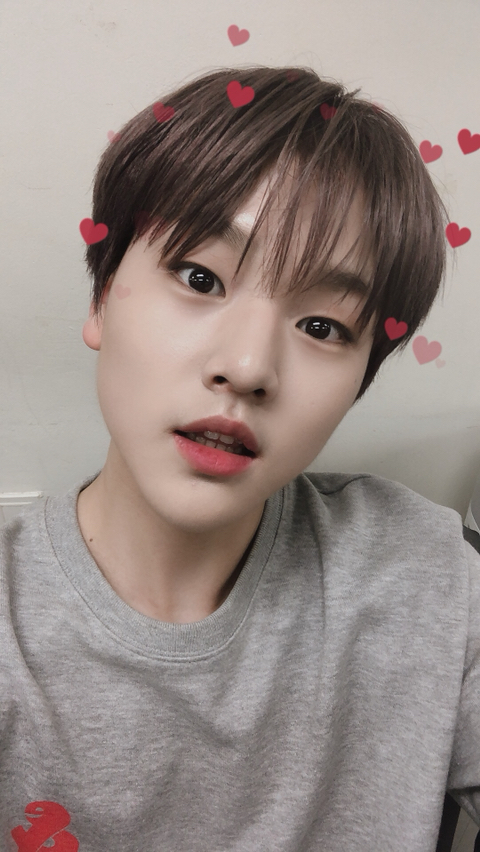 다미분식 이미지