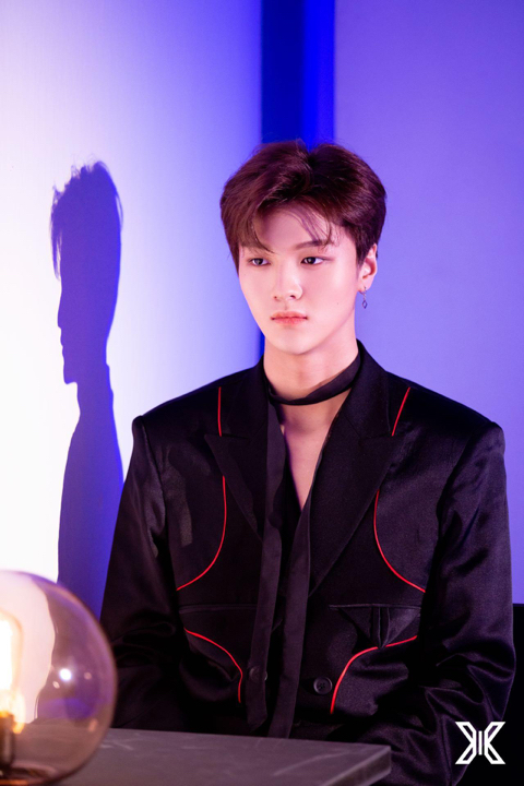 준호갤러리 이미지