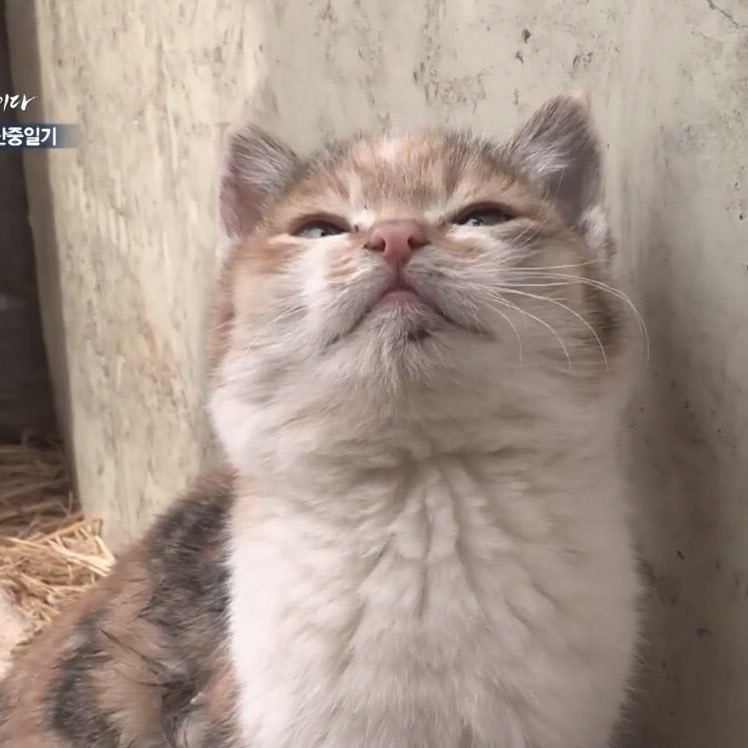 한결 이미지