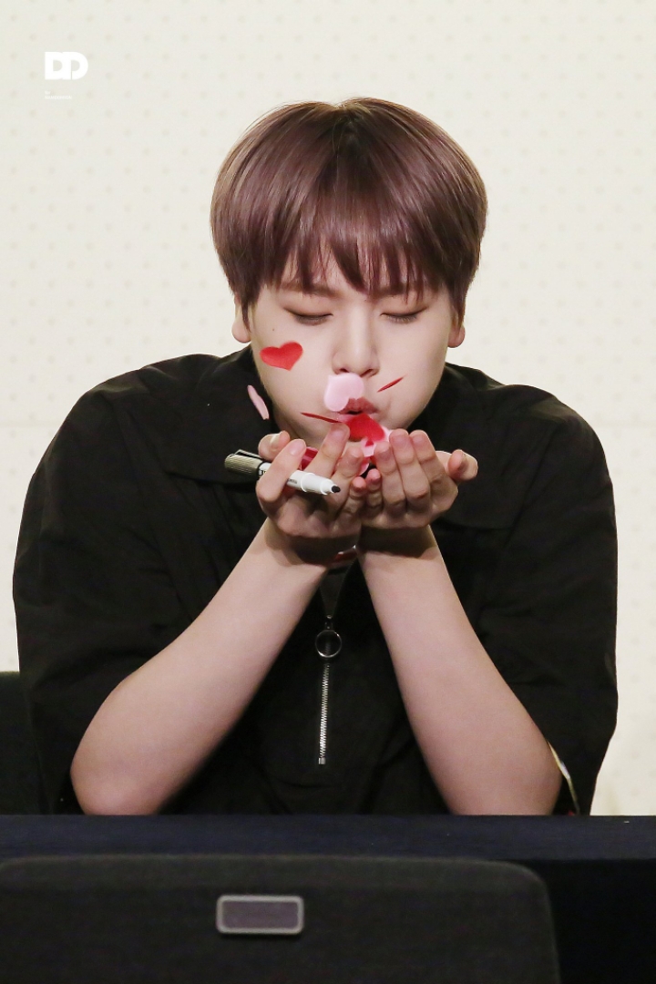 도현 이미지