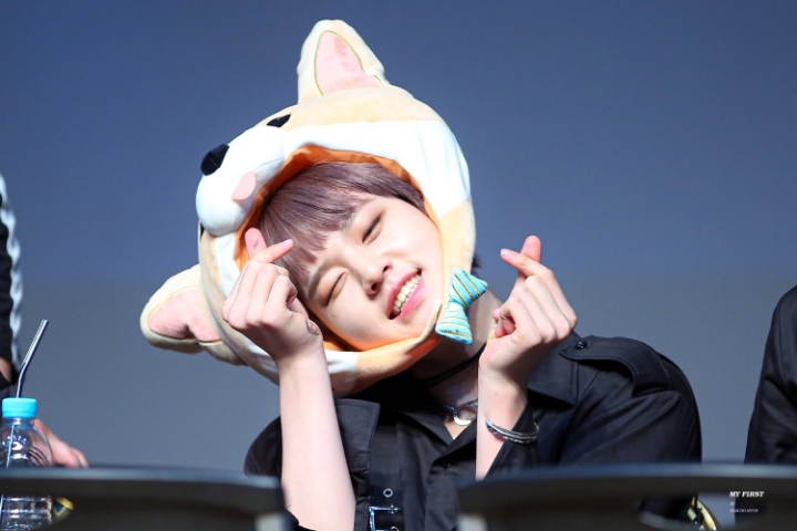 도현 이미지