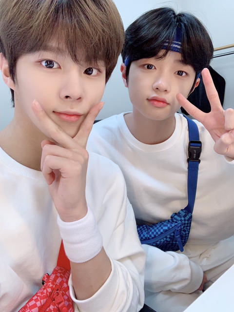 도레미 이미지