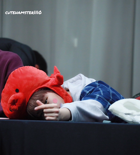 도현 이미지