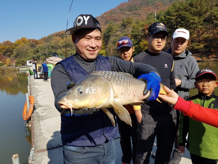 고기마트 이미지