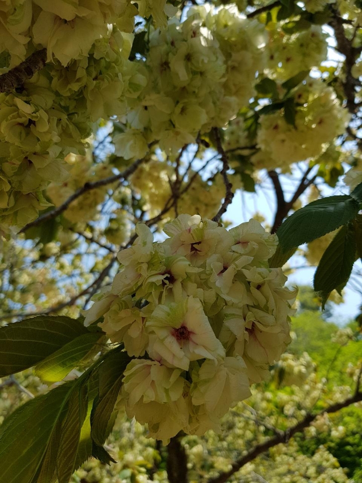 리산애 감성여행 이미지