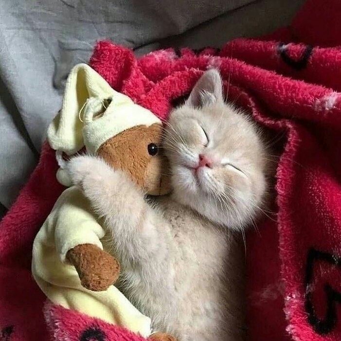 로민 이미지