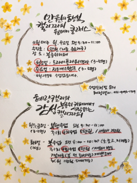 블롱쉬 이미지