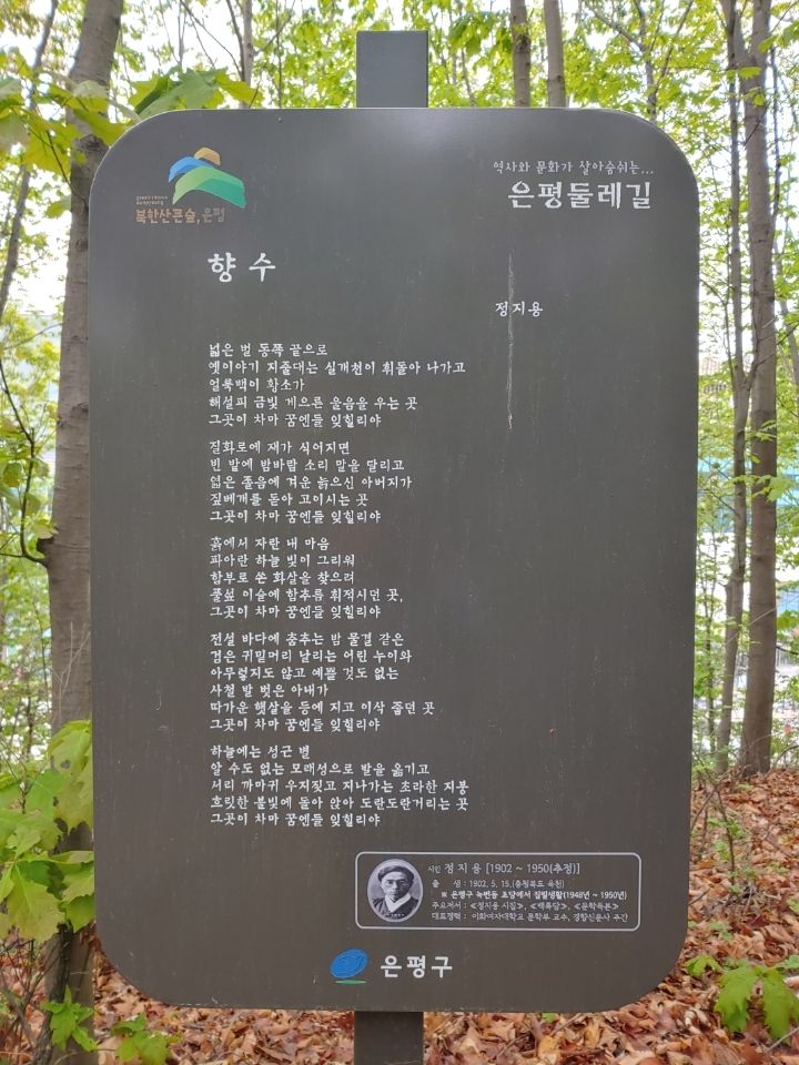 제주도야지 이미지