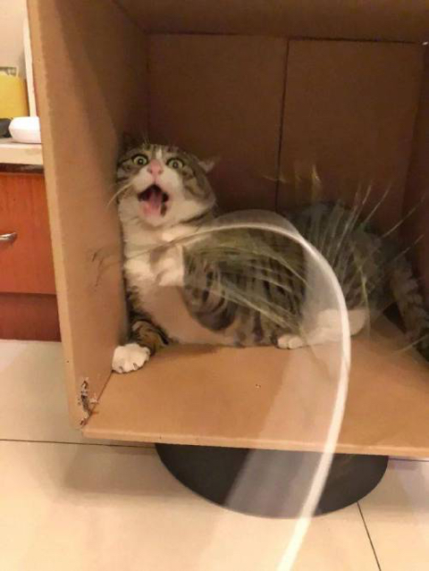 번개사 이미지