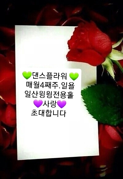 정플라워 이미지