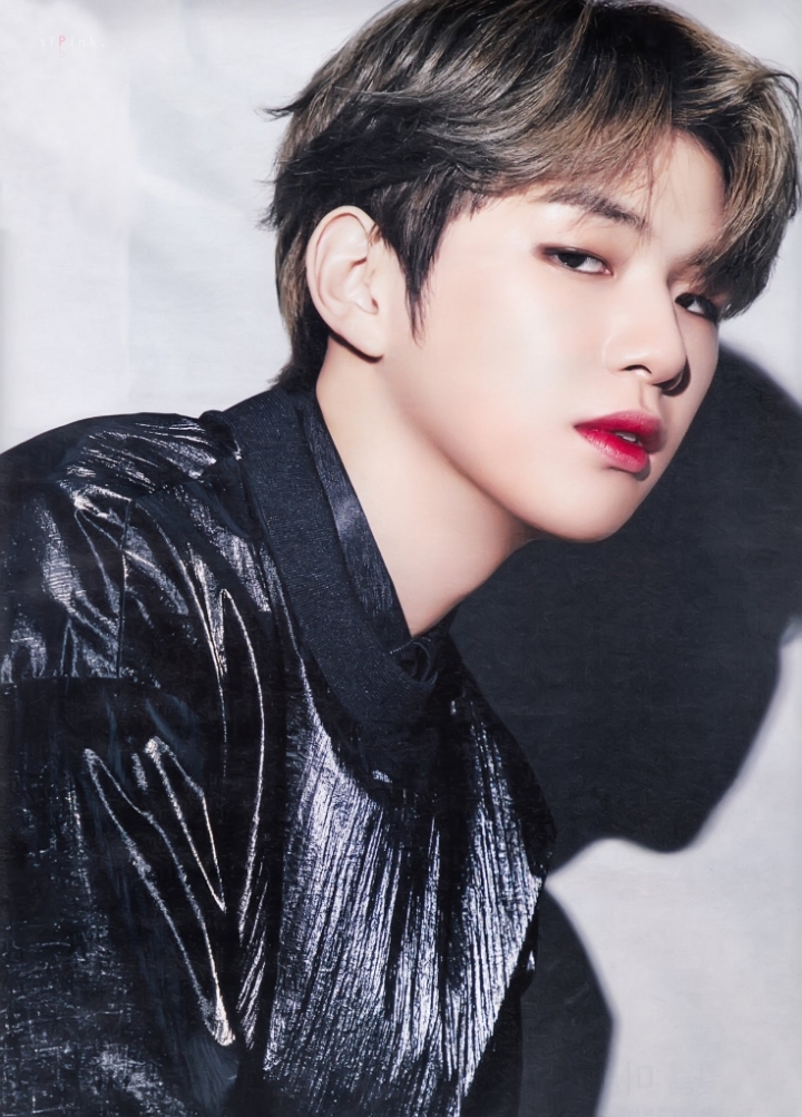마젠타 이미지